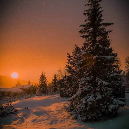 Hotell Rondablikk Fjellstasjon 3*