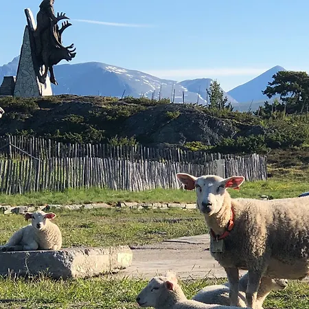 Rondablikk
