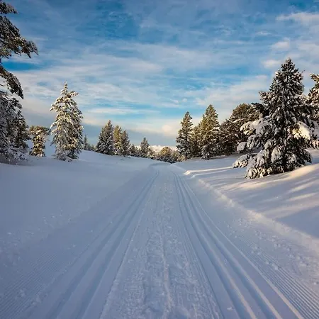 Rondablikk Fjellstasjon Mysusaeter