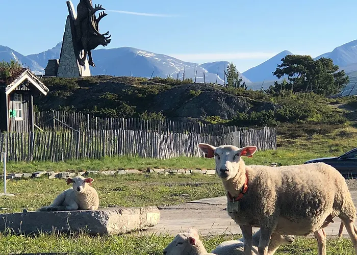 Rondablikk Fjellstasjon