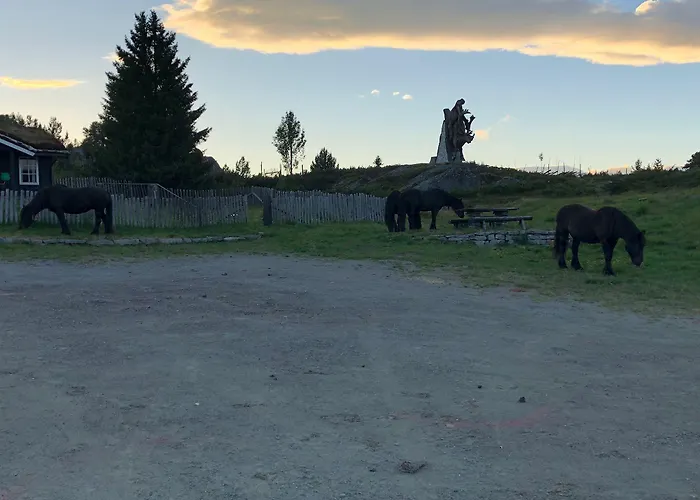 Rondablikk Fjellstasjon